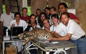Le Wildlife Cardiology Group  réunit les équipes de la Ménagerie du jardin des Plantes et celle de l’Unité de Cardiologie d’Alfort (UCA) dirigées respectivement par le Dr. Norin Chaï et le Pr. Valérie Chetboul, ainsi que le Dr. Thierry Petit (Zoo la Palmyre).